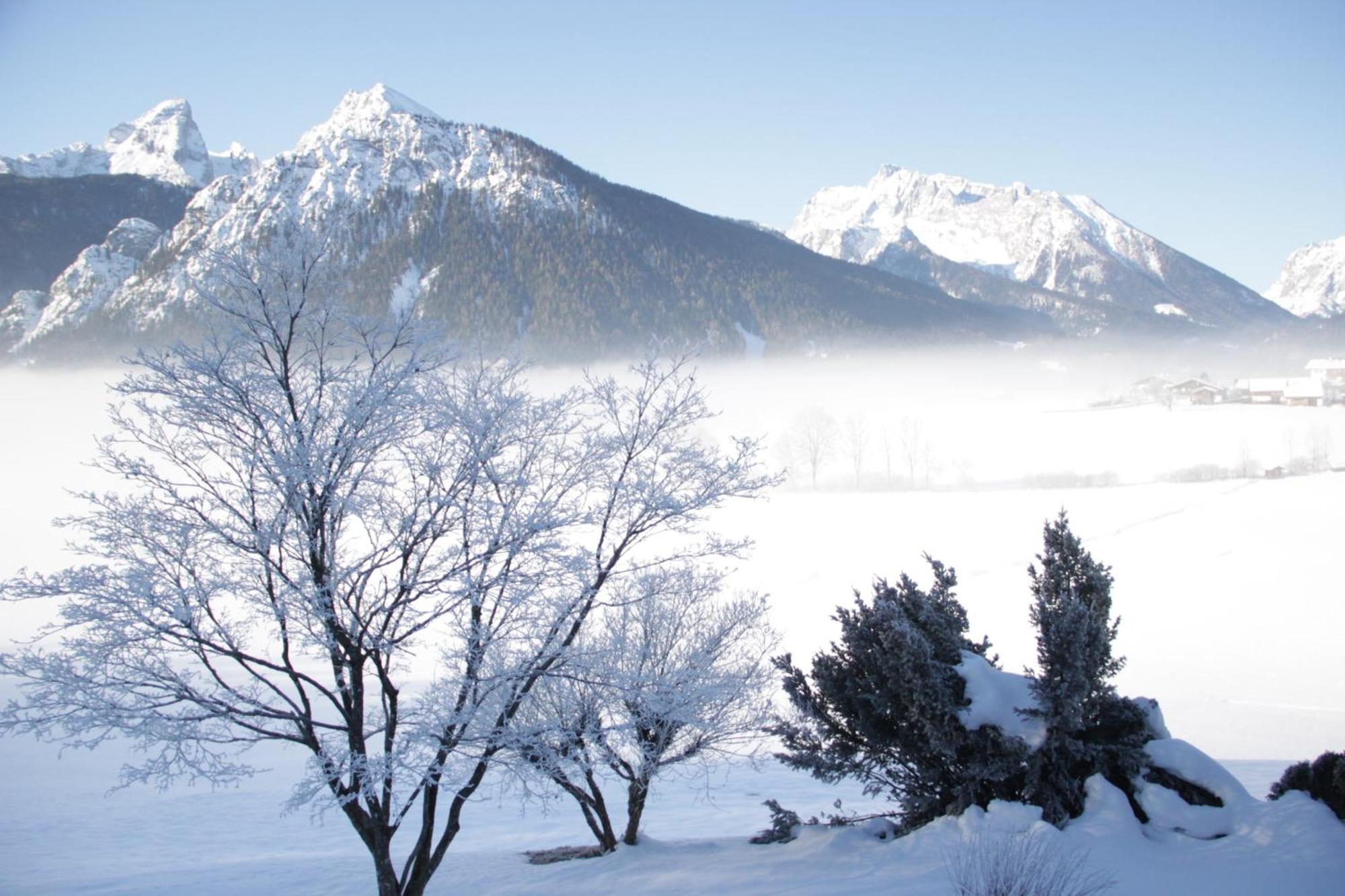 Schönau am KönigsseeObergoebllehen公寓 外观 照片