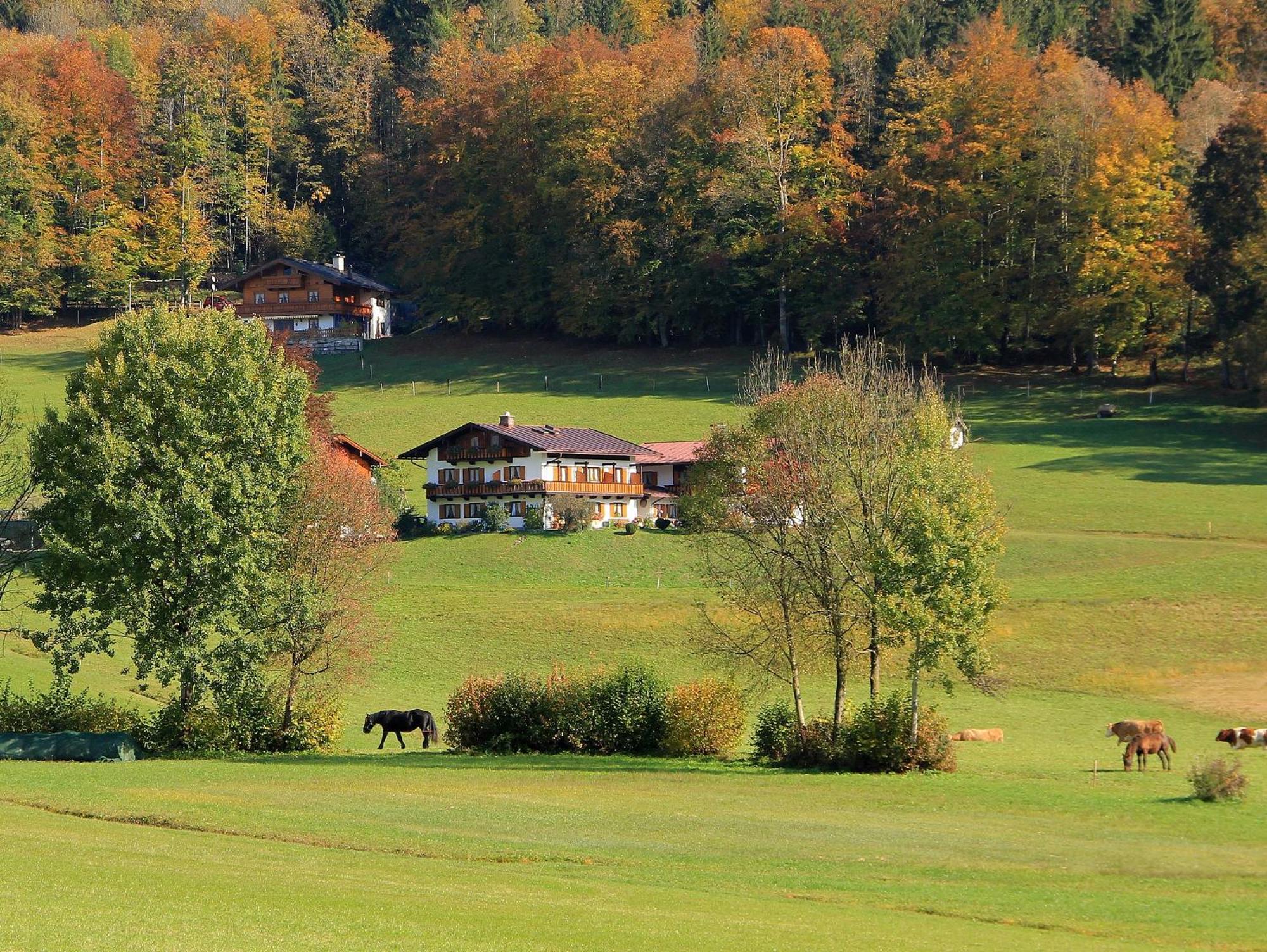 Schönau am KönigsseeObergoebllehen公寓 外观 照片